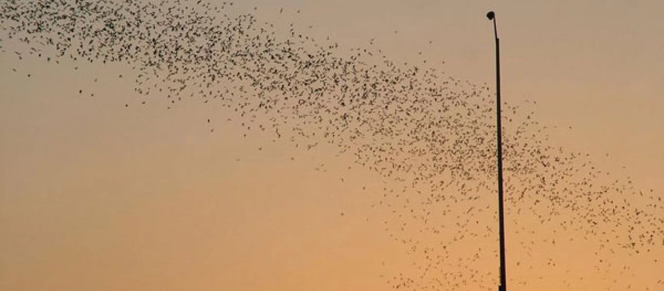 Δέκα παράξενα αλλά εντυπωσιακά φαινόμενα της φύσης σε όλο τον κόσμο